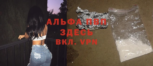 спайс Вяземский