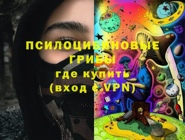 спайс Вяземский