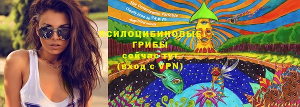 apvp Вязьма