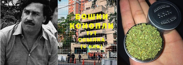 apvp Вязьма