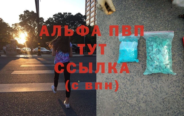 спайс Вяземский