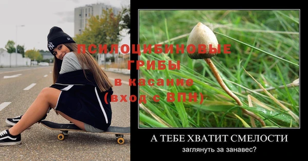 apvp Вязьма