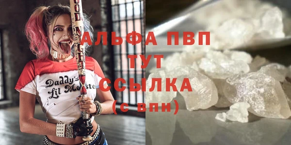 спайс Вяземский
