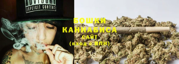 спайс Вяземский