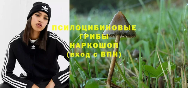 спайс Вяземский