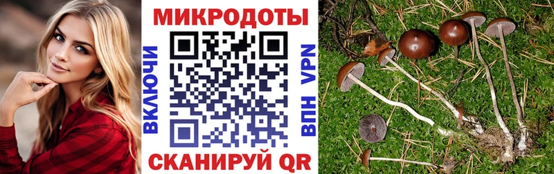 продажа наркотиков  Окуловка  кракен маркетплейс  Псилоцибиновые грибы Magic Shrooms 
